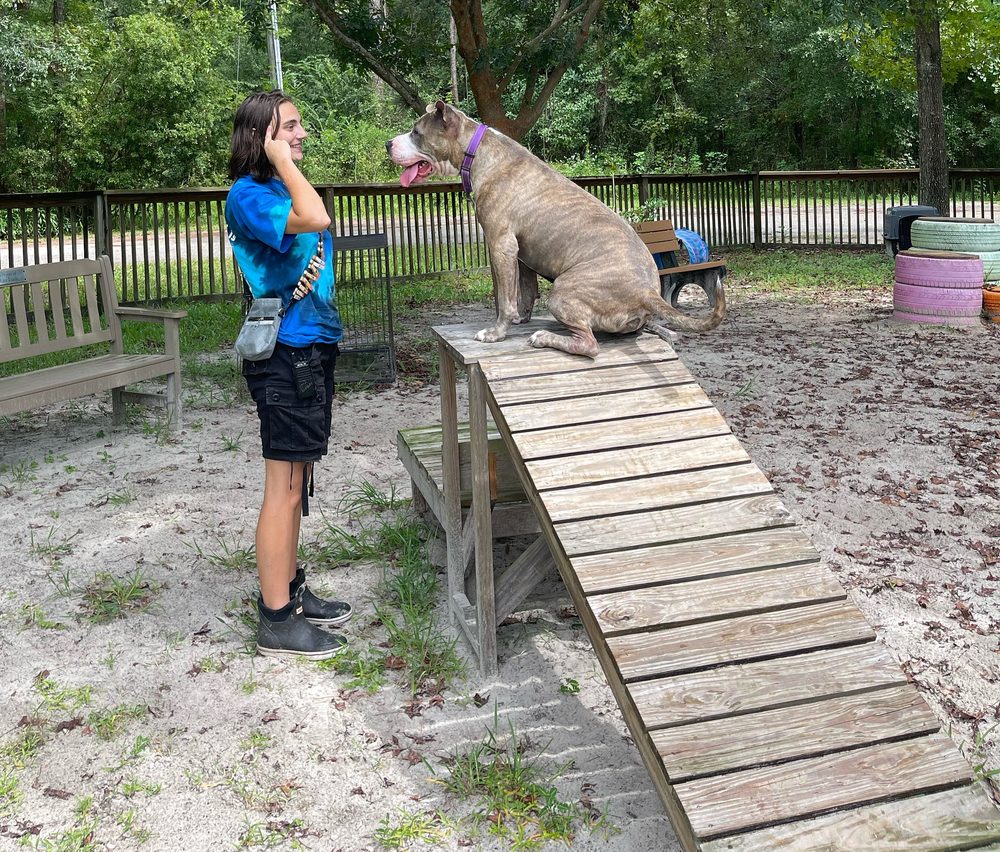 Grace working with a dog at the shelter